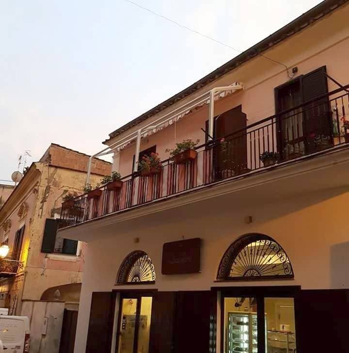 Cerasella 1