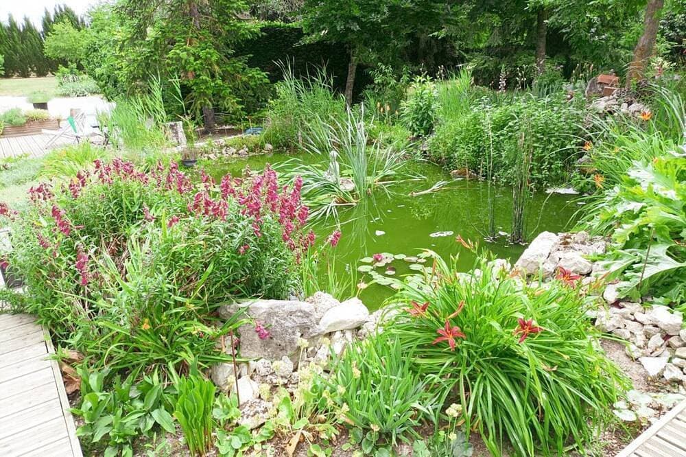 Foto 8 von 20: Komfortable Ferienwohnung in idyllischem Garten mit Kamin & Parkplatz