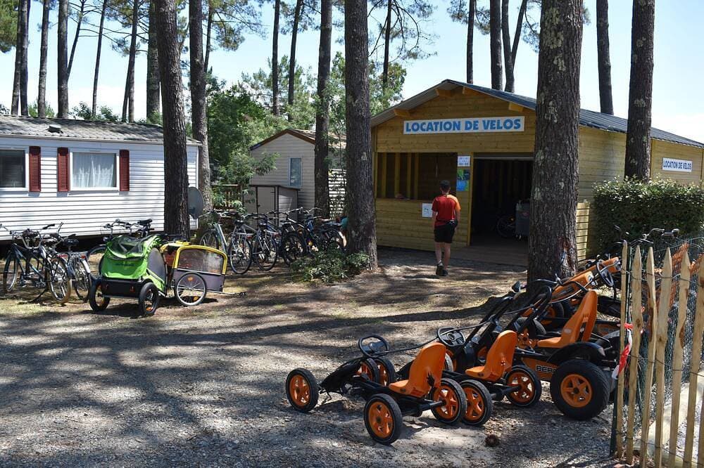 Foto 7 von 30: Mobilheim in den Landes, Blick auf den Wald