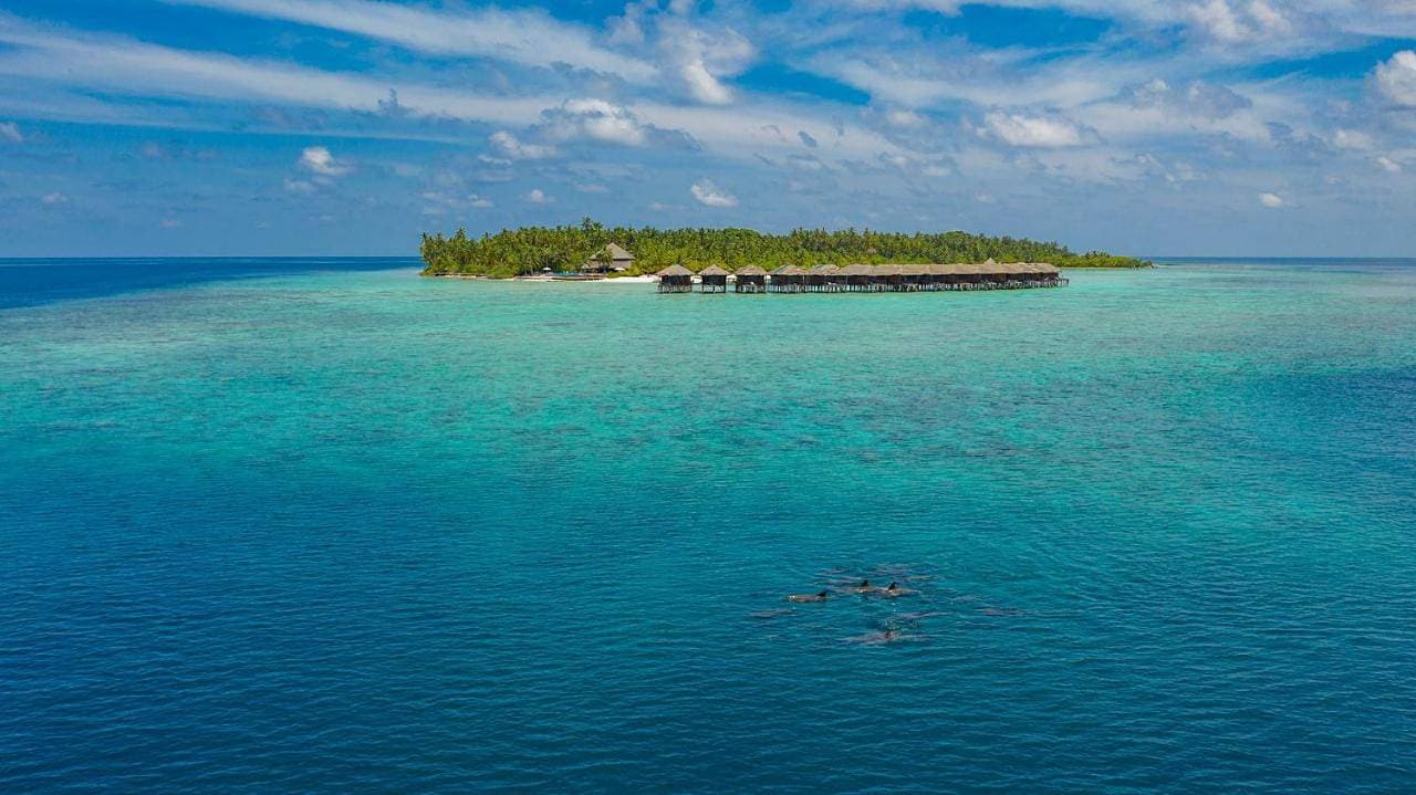 Foto 2 von 23: Water Villa with Beach View