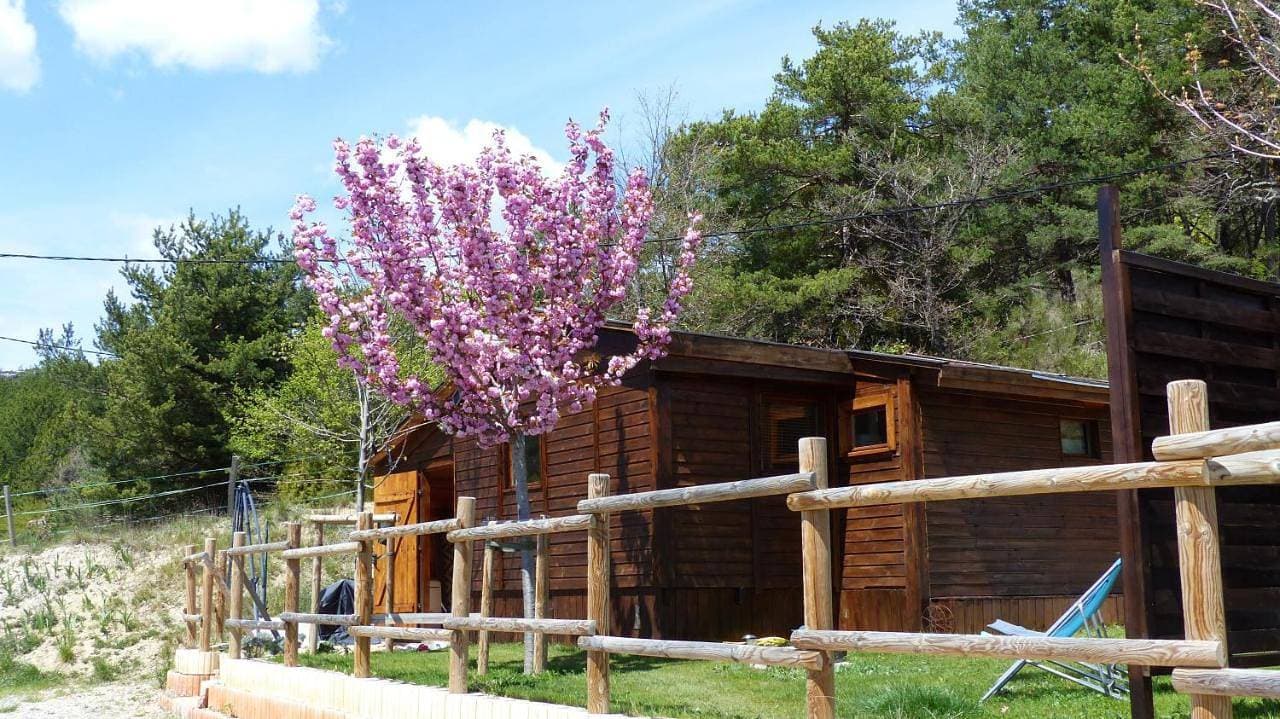 Foto 10 von 24: Chalet with Private Bathroom