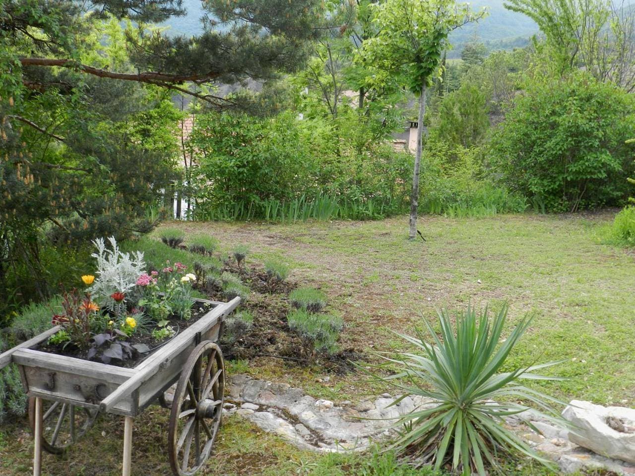 Foto 10 von 34: Apartment with Mountain View