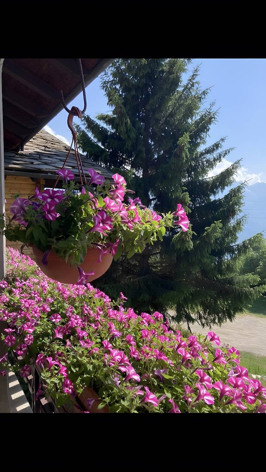 Foto 12 von 66: Apartment 'Becca D'Aver' mit Bergblick, Gemeinschaftsgarten und WLAN