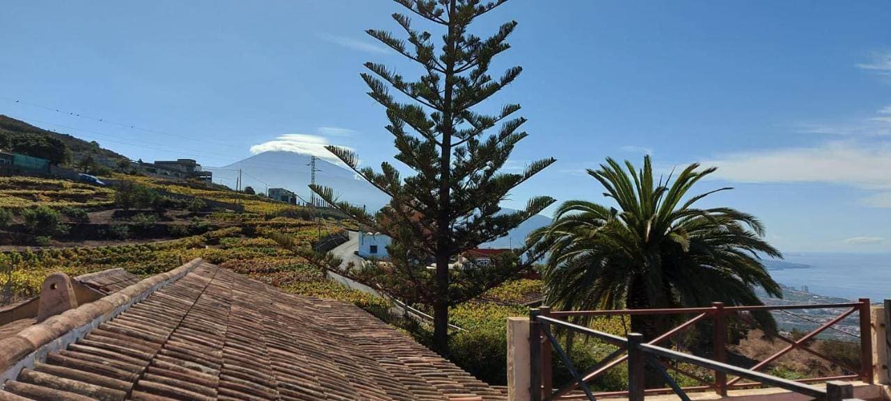 Casa Canarina 1
