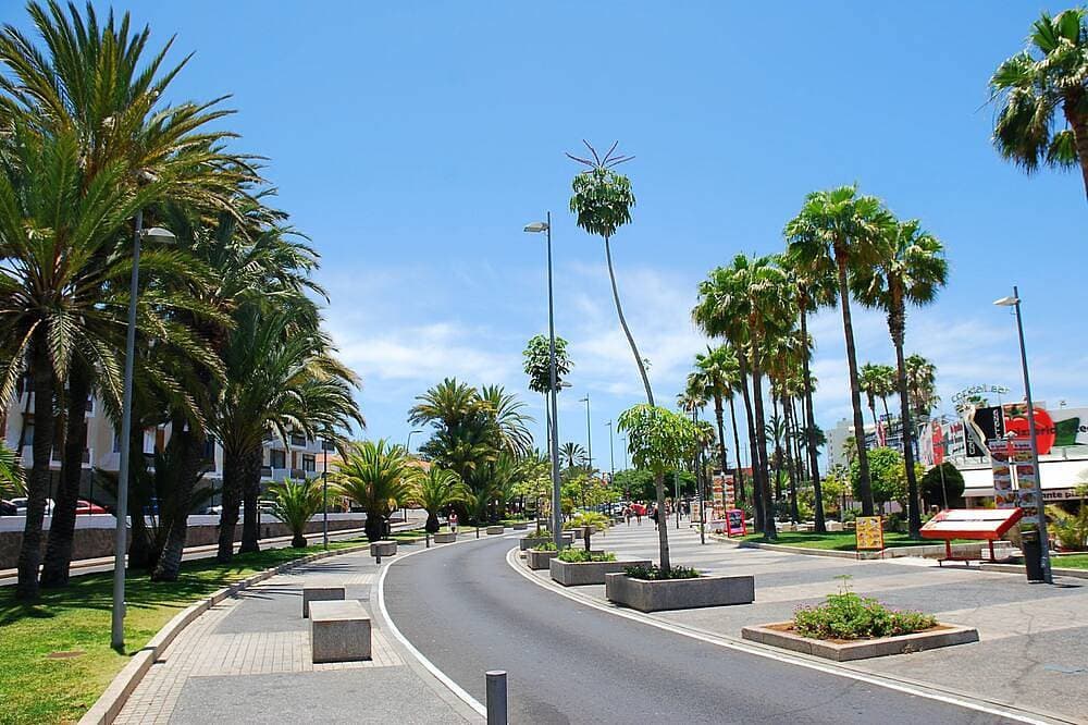 Foto 10 von 19: Las Americas, 2 Personen, WLAN, Pool, Meerblick Und Pool