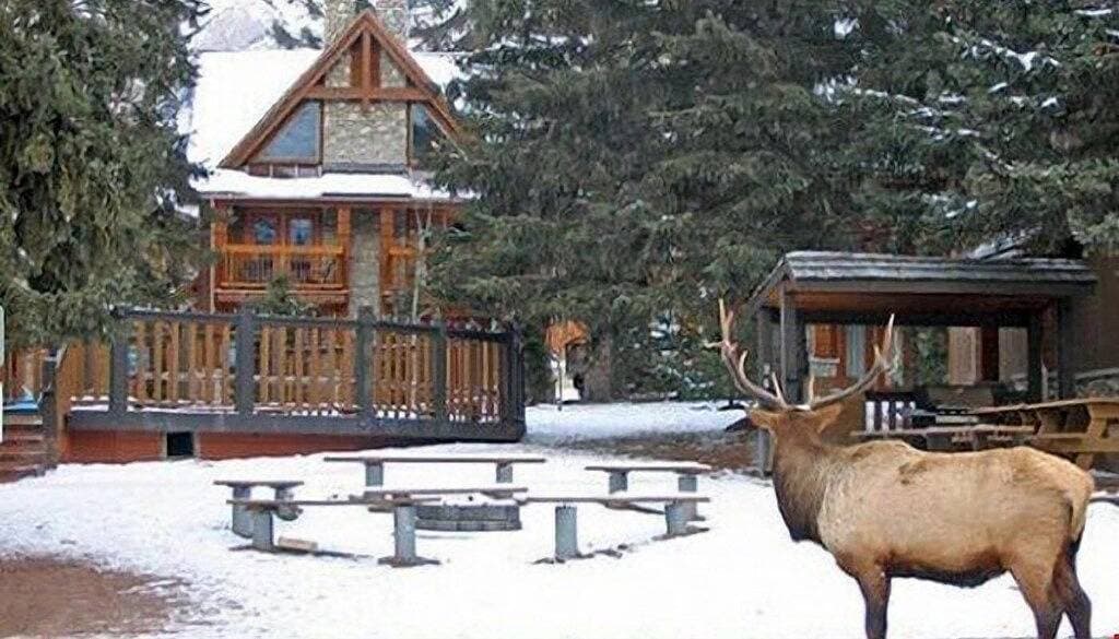 Foto 12 von 26: Fühlen Sie sich in den Rockies wie zu Hause! Gemütliche Wohnung mit Hot Pools Zugang