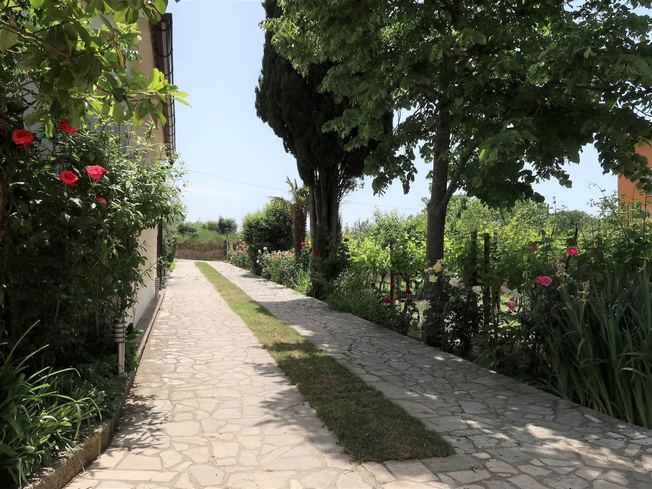 Foto 5 von 30: Villa Palma