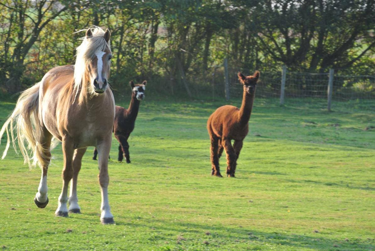 Foto 6 von 25: Gîtes de France® - Le Clos Saint Bernard