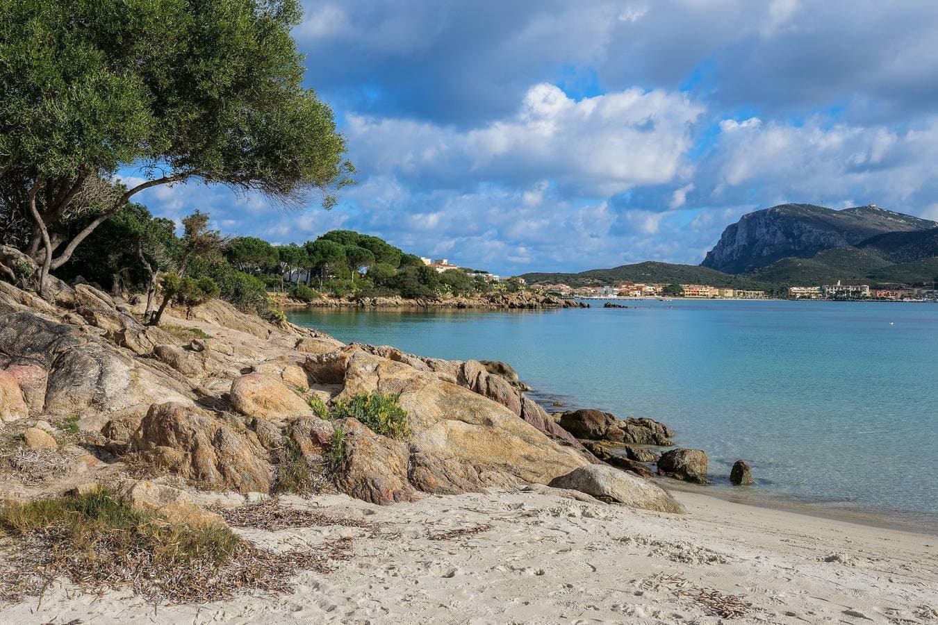 Foto 10 von 31: Ferienwohnung 'Orizzonti 31' mit Meerblick, privater Terrasse und Klimaanlage