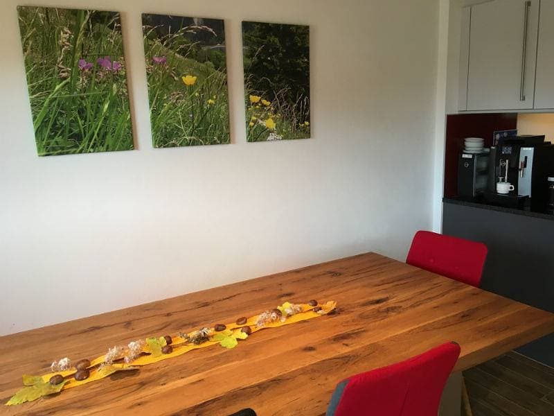 Foto 7 von 10: Ferienwohnung dem Himmel ein Stück näher, Safien-Thalkirch - 1 Zimmer Ferienwohnug für max. 2 Pers. im Eg