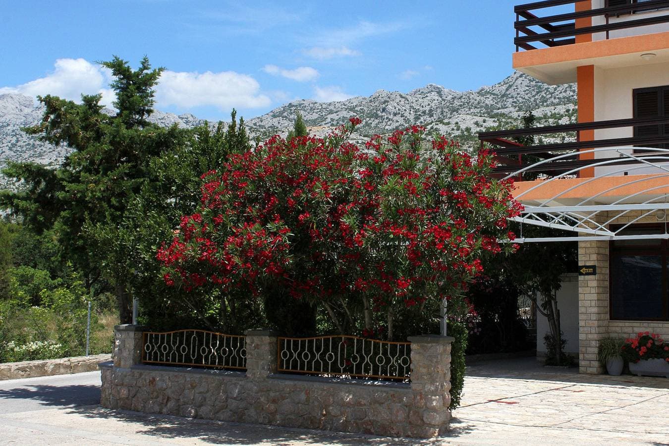Foto 5 von 12: Zimmer am Strand Starigrad, Paklenica S-6591-a
