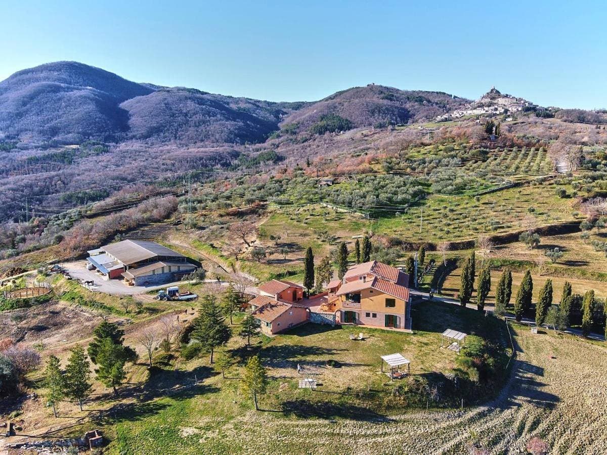 Az.Agr. Il Cavalleggero 1