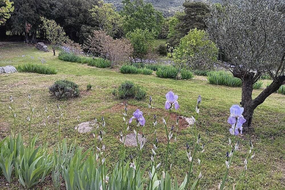 Foto 10 von 25: Mas des Louquiers