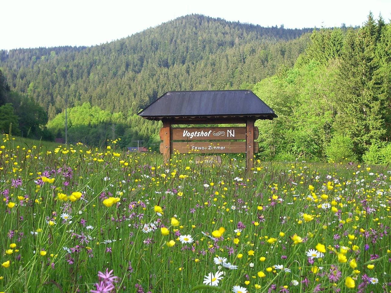 Foto 12 von 26: Ferienwohnung 3 Im Bauernhaus mit gemeinsamer Terrasse, Gemeinschaftsgarten und WLAN