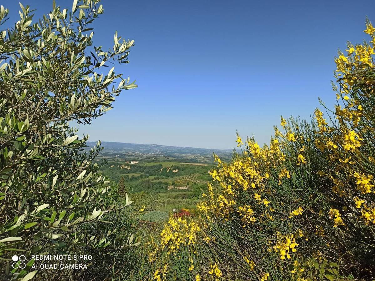 Poggio dei Carli 1