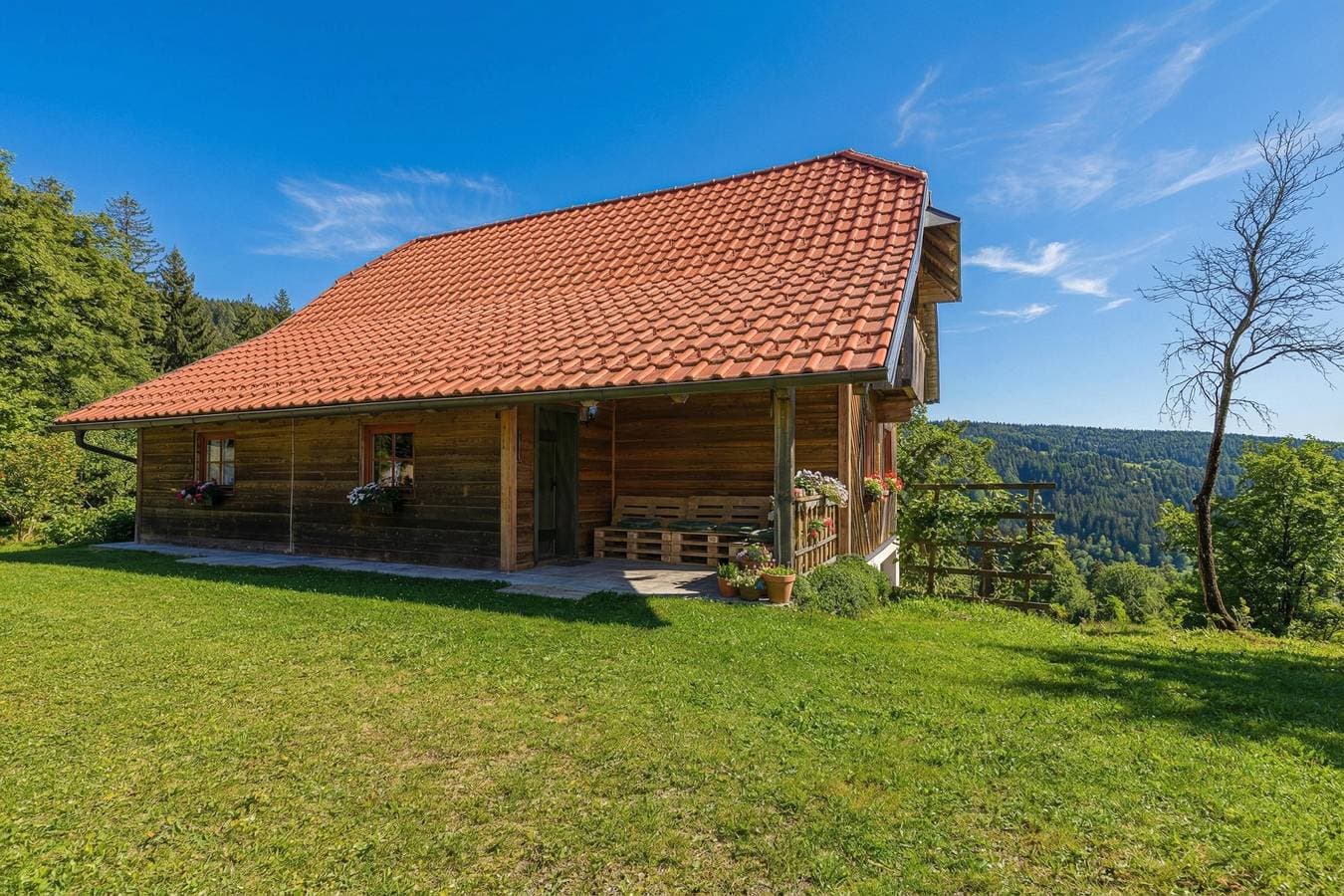 Foto 12 von 22: Organic Homestead Mikl Spruce Tree Apt