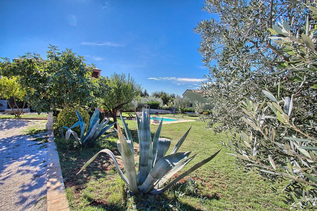 Foto 8 von 24: 400 Meter zum Strand mit Pool, Jacuzzi, Sonnenterrasse, Tischtennis