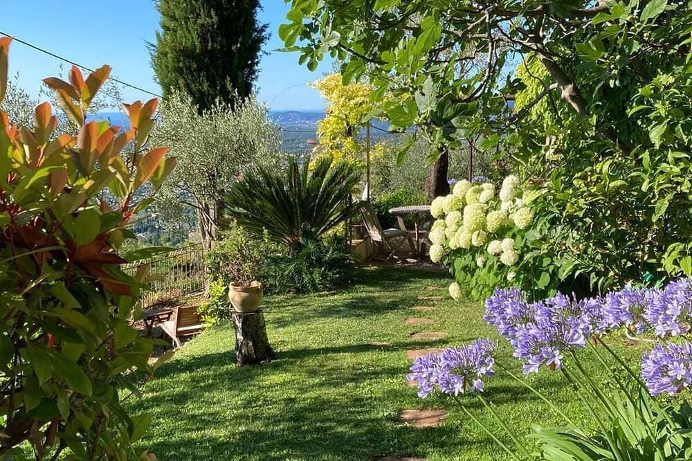 Foto 11 von 27: Studio - Grasse mit Garten