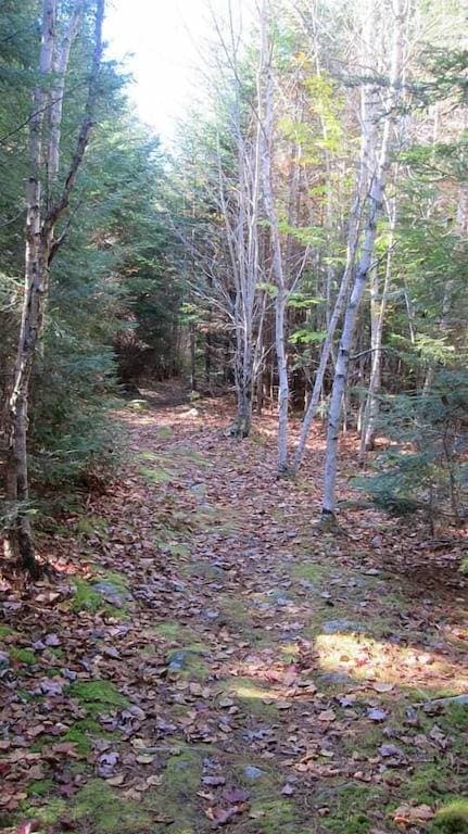 Foto 10 von 25: Gehen Sie zu dieser einsamen Hütte am See in Downeast Maine