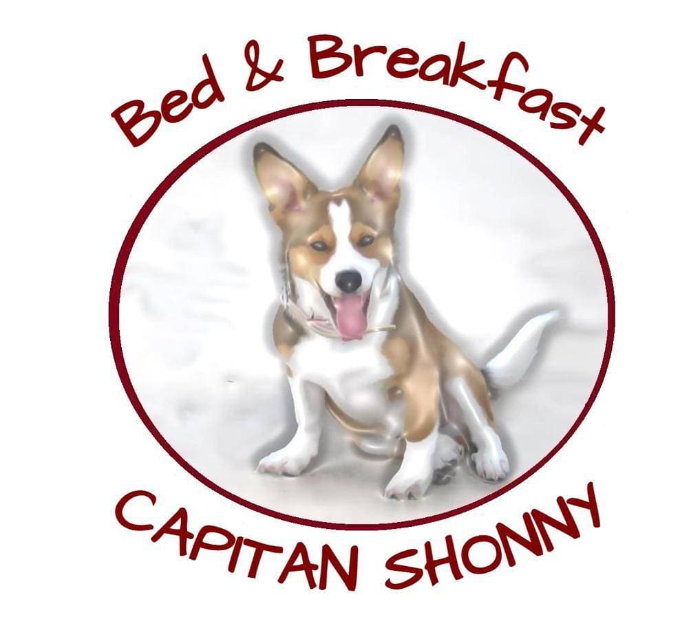 Capitan Shonny 1