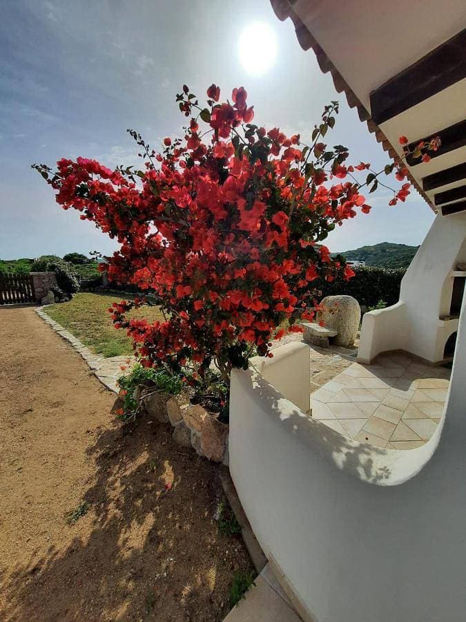 Foto 4 von 27: Villa