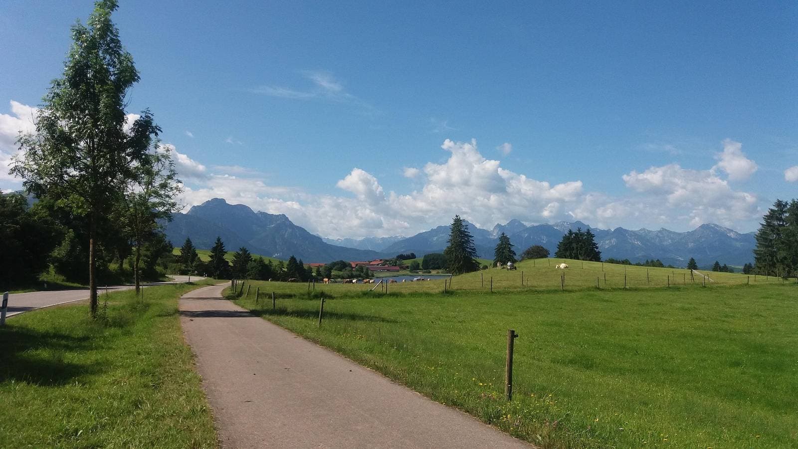 Foto 12 von 17: Fewo Schwalbennest, Königscard