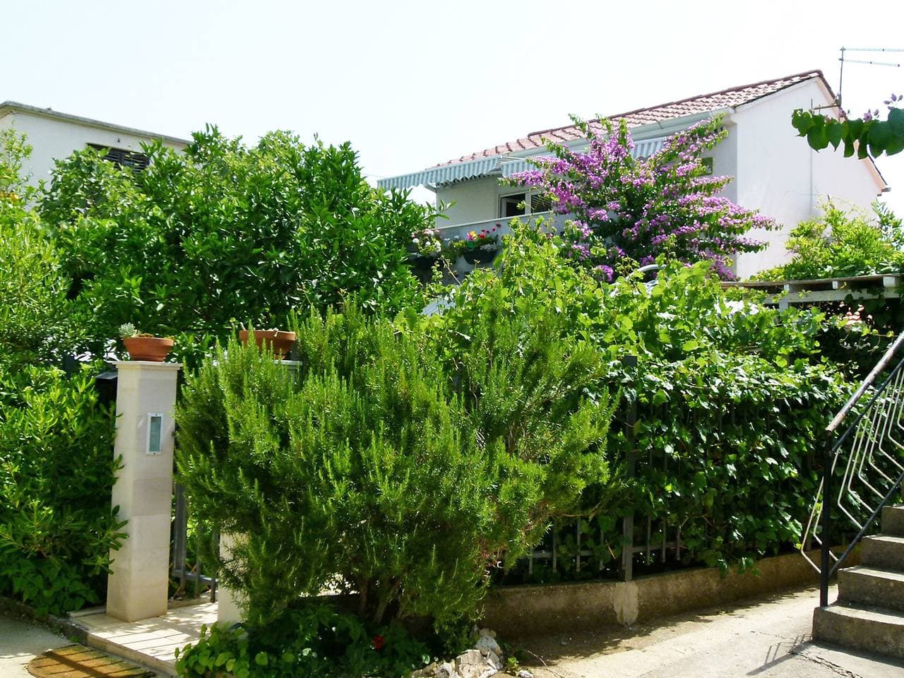 Foto 11 von 21: Villa ANiMa-Mia