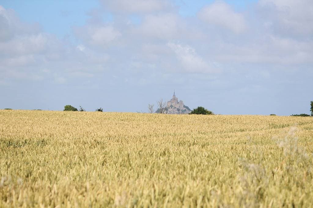 Foto 8 von 10: Pommier