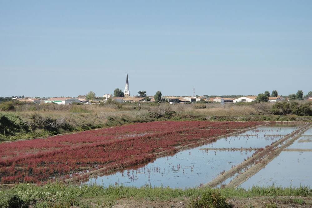 Foto 13 von 21: In der Fremde zu Hause, das Meer fast vor der Tür, Auszeit auf der weißen Insel
