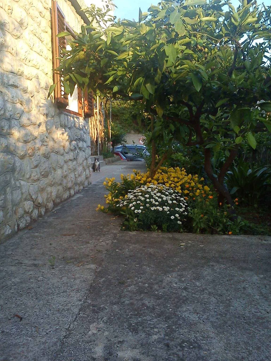 Foto 7 von 21: Ferienwohnung mit Terrasse und Internetzugang