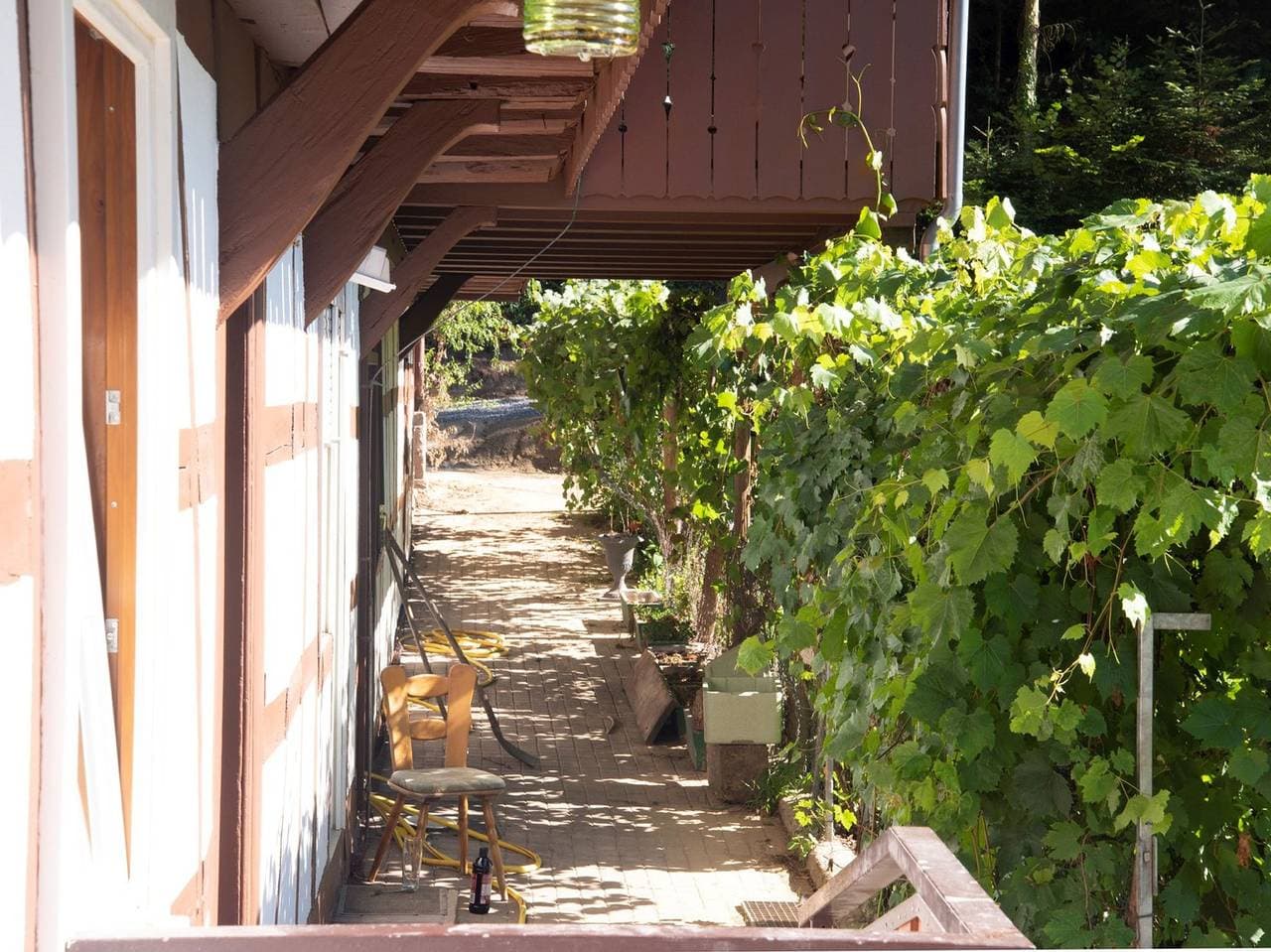 Foto 6 von 21: Haus Nilson - Ferienwohnung Hofblick, 24 qm, 1 Wohn-/Schlafzimmer, max. 2 Personen