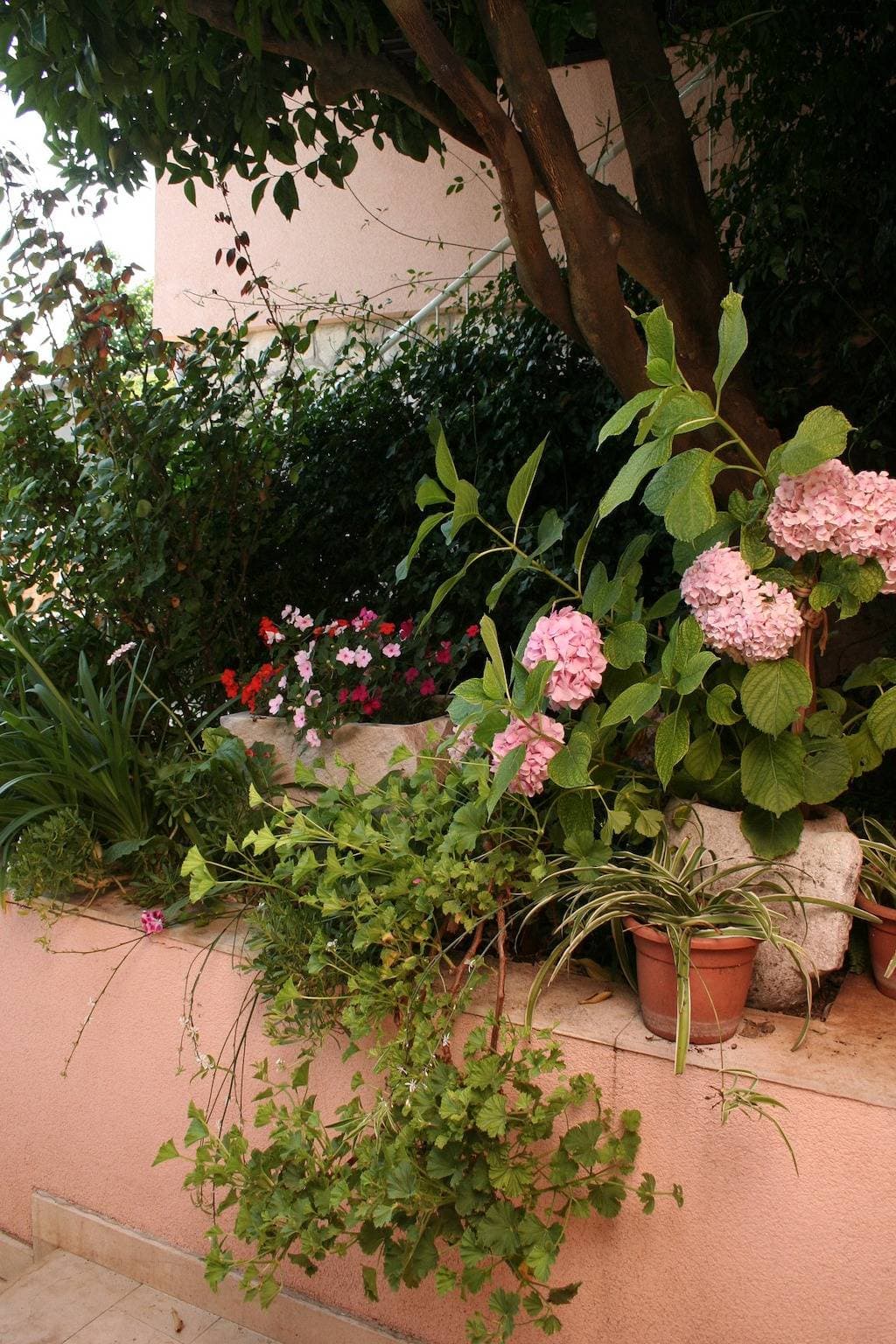 Foto 8 von 19: Zimmer mit Terrasse Vrboska, Hvar S-4600-b