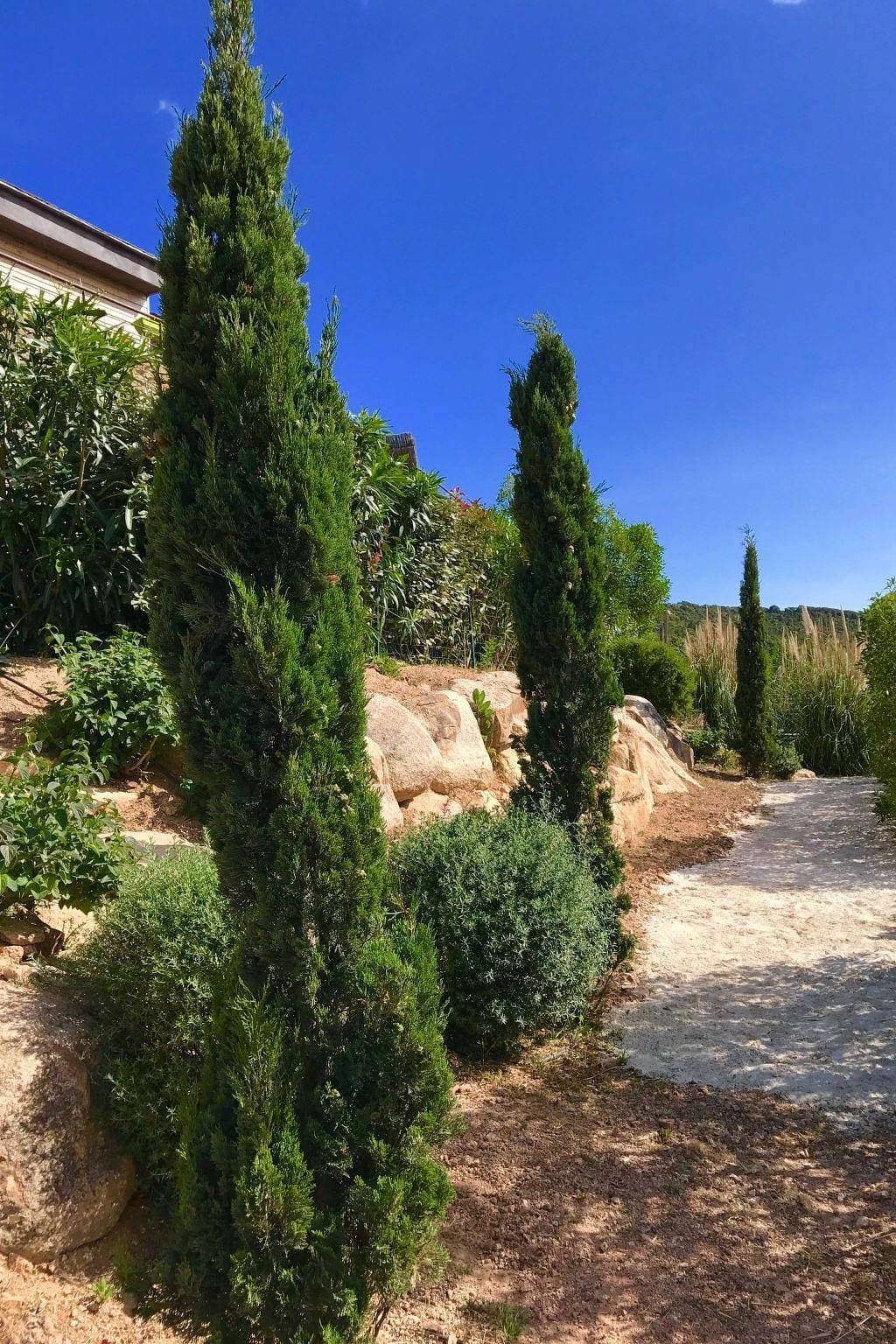Foto 6 von 62: In Bonifacio mit Großer Terrasse