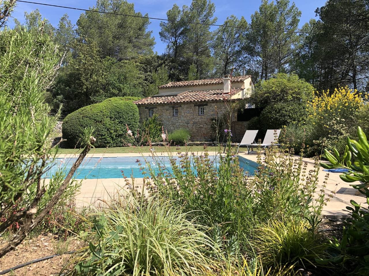 Les 2 Palmiers 1