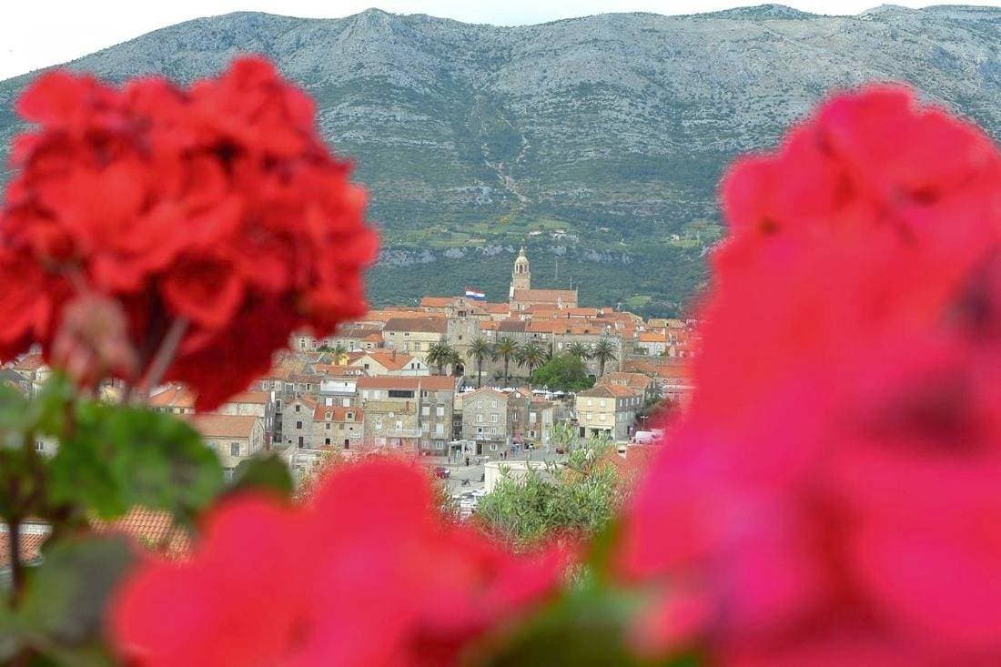 Accommodation Drasko 1