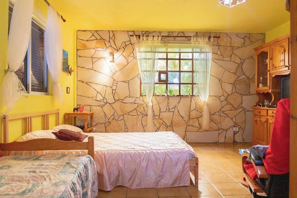 Homerez - Haus in Vallehermoso 1