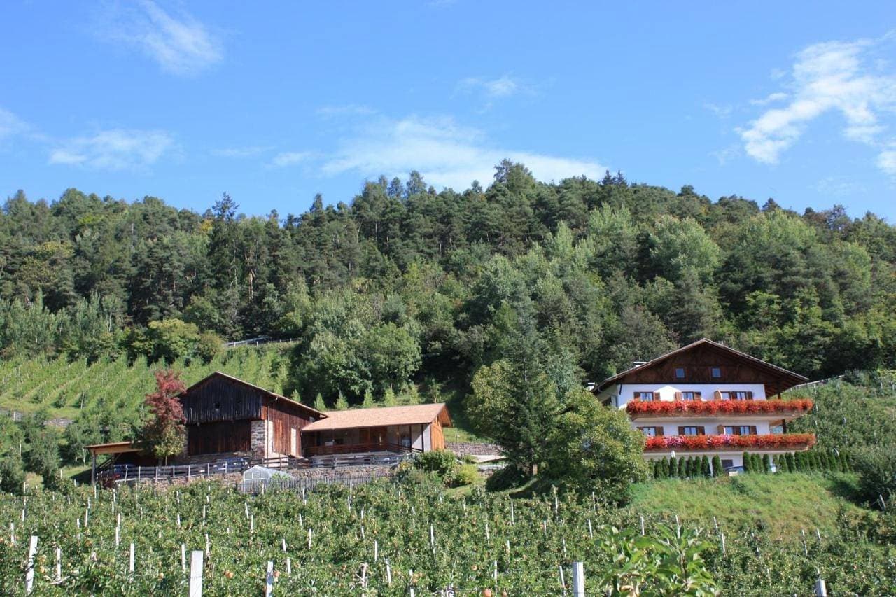 Ferienbauernhof Masunerhof 1
