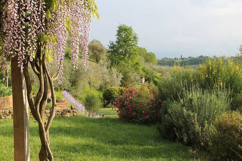 Foto 4 von 30: Wohnung 'Aia' im Agriturismo Il Bacio