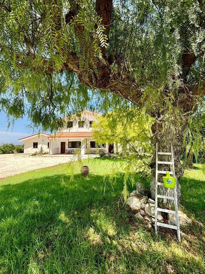 Villa Andrea San Lorenzo 1