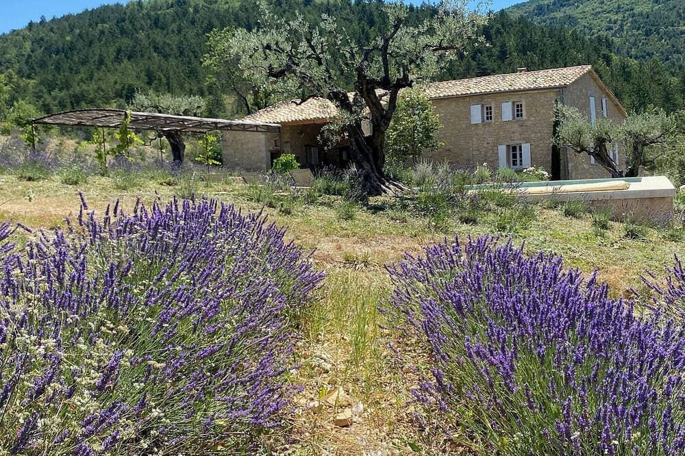 Foto 6 von 30: Exceptional farm in Drôme Provençale!