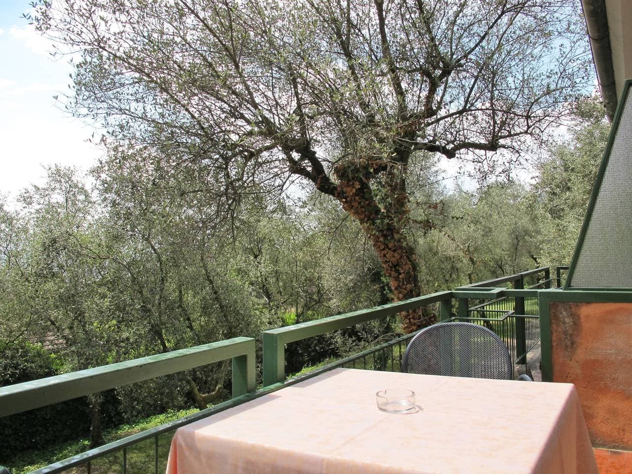 Foto 3 von 31: Parco del Garda
