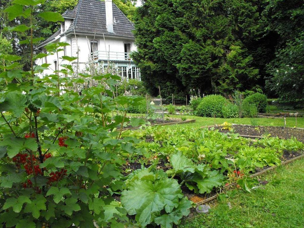 Foto 3 von 8: Suite with Garden View