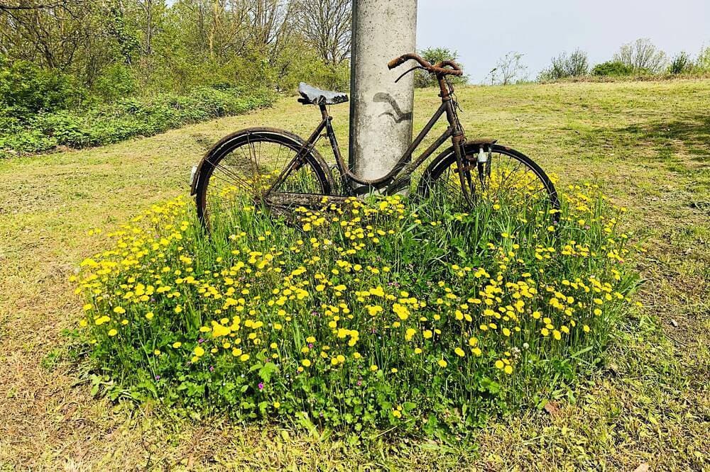Foto 13 von 30: Cascina Baracico, Circondati Dalla Natura