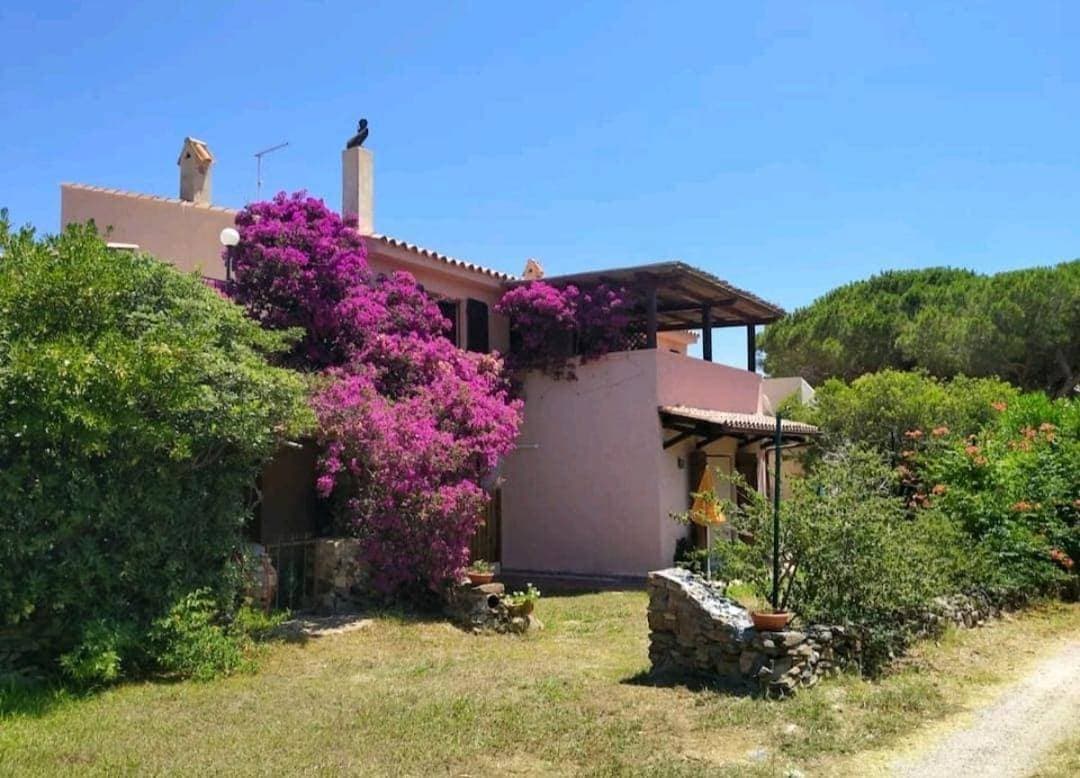 Appartamento Sardegna a due passi dal mare 1