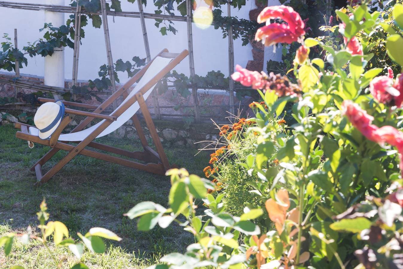 Foto 12 von 31: Ferienwohnung für 2 Personen mit Garten
