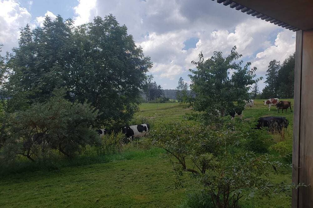 Foto 11 von 14: Kammererhof Oberkirnach - Mariposa - Ferienwohnung auf Bauernhof im Schwarzwald