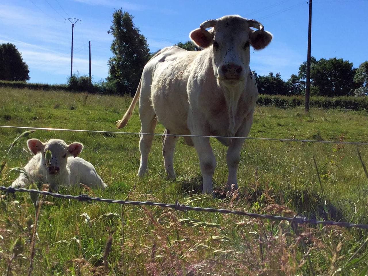 Foto 6 von 30: Pré des Verchères
