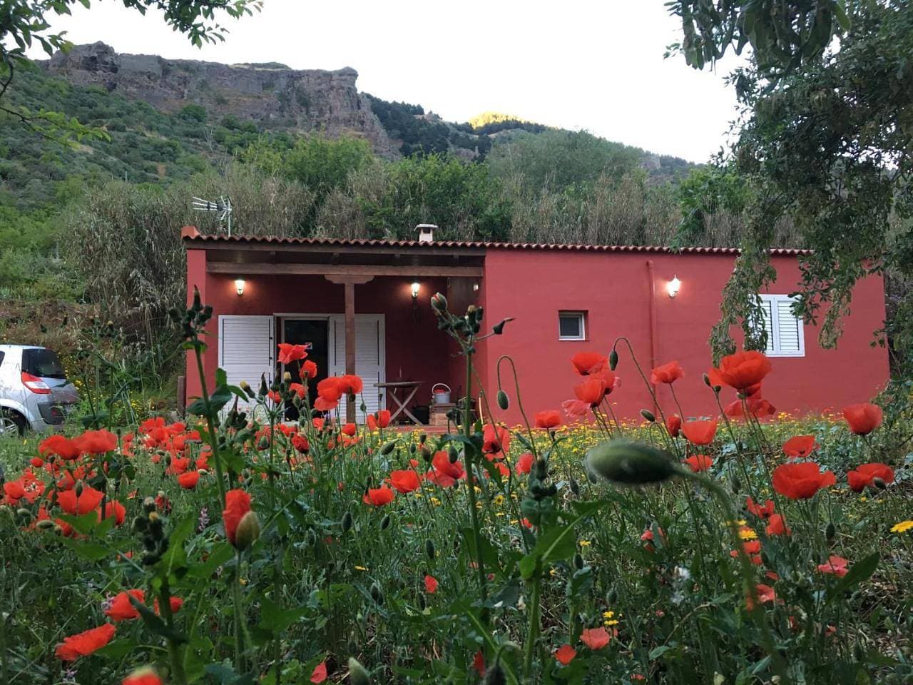 Foto 9 von 72: Holiday Home