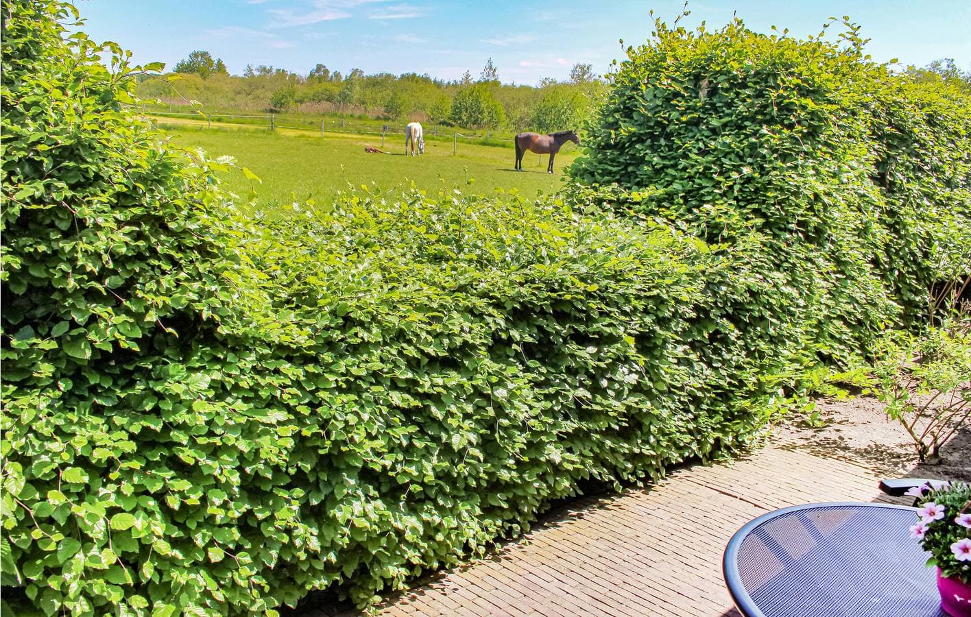 Foto 9 von 22: Ferienhaus für 2 Personen mit Garten