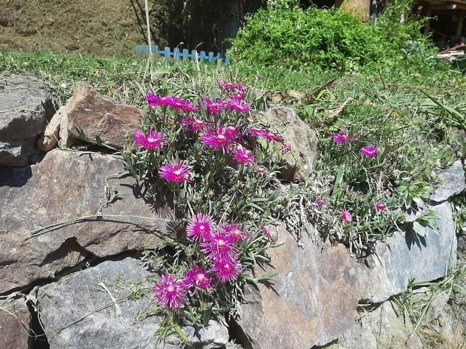 Foto 13 von 22: Two-Bedroom House